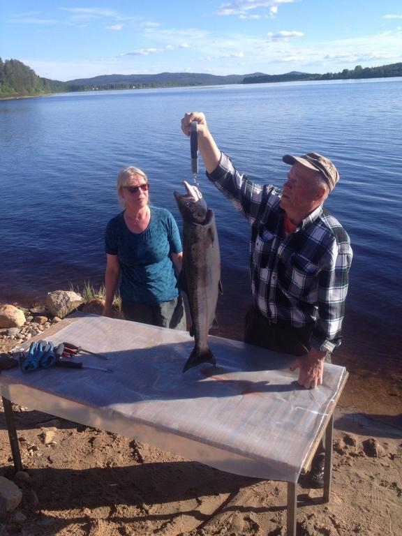 Arctic Camping Finland Hotel Pello Ngoại thất bức ảnh