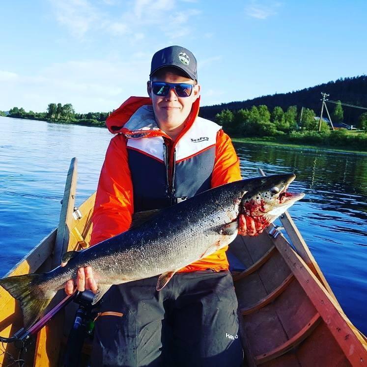 Arctic Camping Finland Hotel Pello Ngoại thất bức ảnh